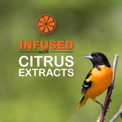 Show full view: Sweet-Nectar Concentrate Oriole Food, Clear, 25.3-fl oz bottle slide 4 of 8