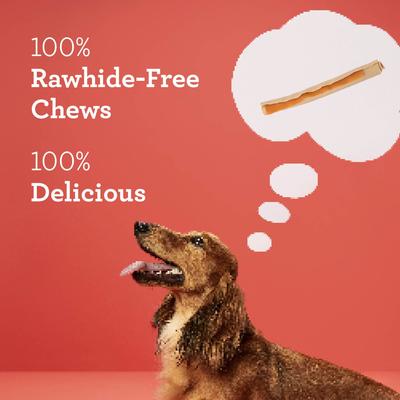 Show full view: DreamBone DreamSticks Real Sweet Potato Rawhide Free Dog Chews, 10 count slide 5 of 13