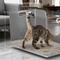 Show in main carousel: Ptlom Stainless Steel High Wide Entry Sided Cat Litter Box, X-Large slide 3 of 12
