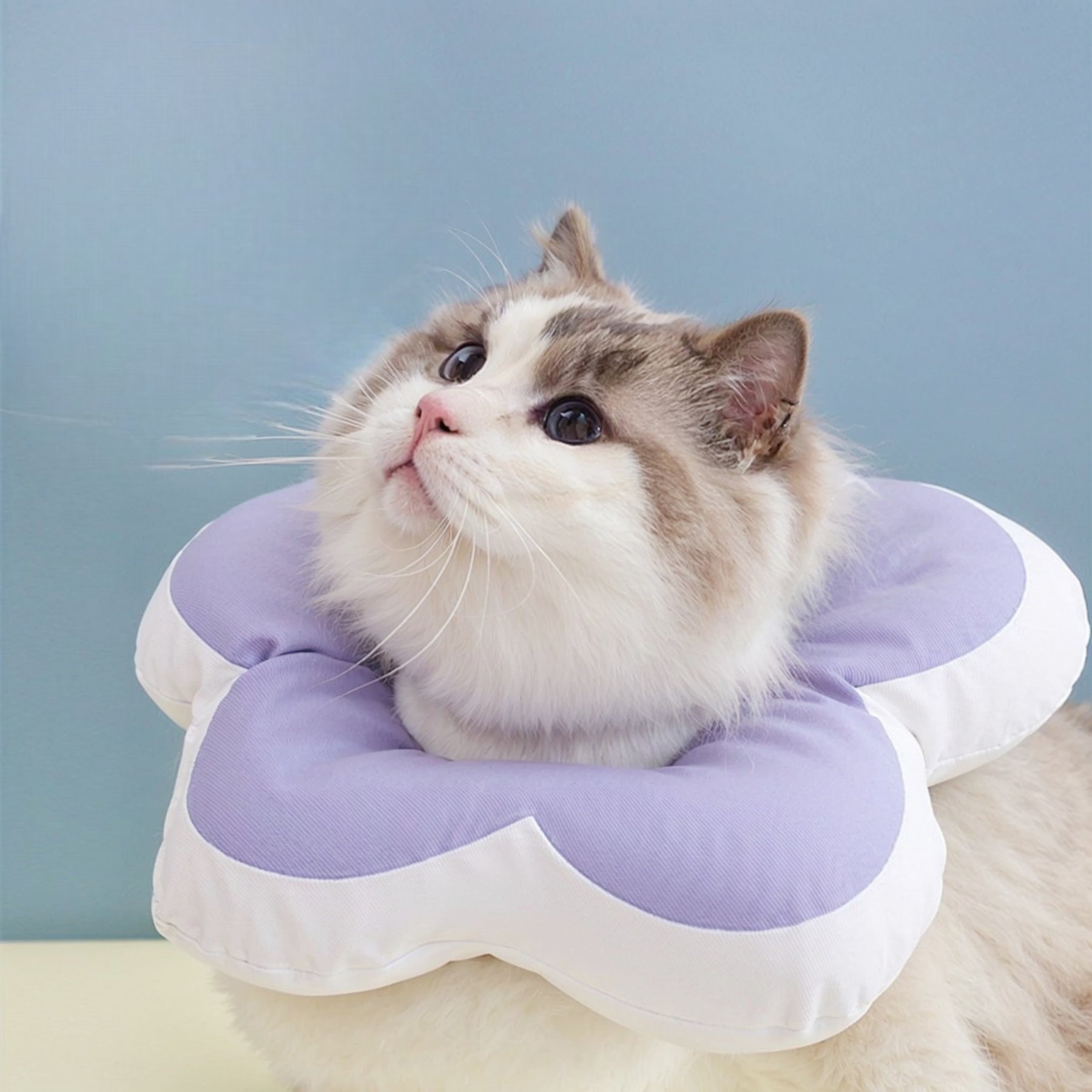 Happy & Polly Protective Recovery Cone Cat Collar, Purple, Medium