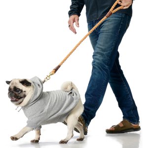 Pet Passion Rocky II Extra Comfy Plaid Dog Hoodie, Black Sand, X-Large