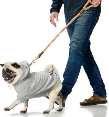 Show full view: Pet Passion Rocky II Extra Comfy Plaid Dog Hoodie, Black Sand, XXX-Small slide 5 of 8