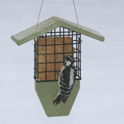 Show full view: Birds Choice Single Cake Recycled Plastic Suet Wild Bird Feeder with Tail Prop, Sea Salt, 8.75 x 3 x 10-in slide 7 of 7