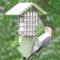 Show in main carousel: Birds Choice Single Cake Recycled Plastic Suet Wild Bird Feeder with Tail Prop, Sea Salt, 8.75 x 3 x 10-in slide 4 of 7