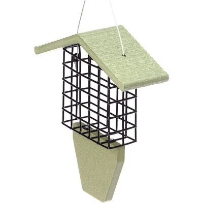 Birds Choice Birds Choice Single Cake Recycled Plastic Suet Wild Bird Feeder with Tail Prop, Sea Salt, 8.75 x 3 x 10-in