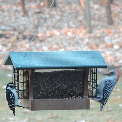 Show full view: Birds Choice Recycled Plastic Hopper Suet Wild Bird Feeder with Cages, Taupe & Green, Medium: 10.5 x 10.5 x 9-in slide 8 of 8