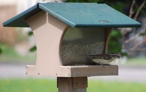 Show full view: Birds Choice Recycled Plastic House Hopper Wild Bird Feeder, Taupe & Green, Medium: 10.5 x 10.5 x 9-in slide 3 of 6