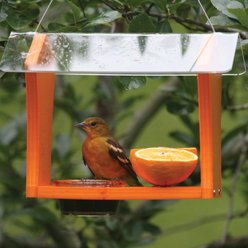 Birds Choice Recycled Plastic Oriole Wild Bird Feeder, Orange, 10.5 x 8.75 x 8-in slide 2 of 6