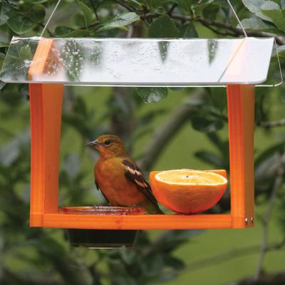 Show full view: Birds Choice Recycled Plastic Oriole Wild Bird Feeder, Orange, 10.5 x 8.75 x 8-in slide 5 of 6