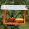 Show in main carousel: Birds Choice Recycled Plastic Oriole Wild Bird Feeder, Orange, 10.5 x 8.75 x 8-in slide 6 of 6
