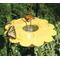 Show in main carousel: Birds Choice Flutterby Butterfly Nectar Wild Bird Feeder with Fruit Trays, Yellow, 12-oz slide 6 of 6