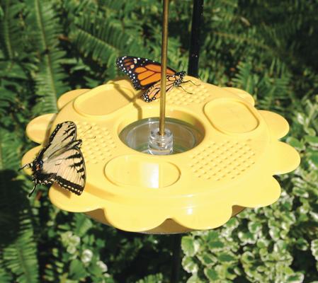 Show full view: Birds Choice Flutterby Butterfly Nectar Wild Bird Feeder with Fruit Trays, Yellow, 12-oz slide 6 of 6