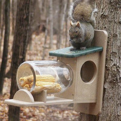 Show full view: Birds Choice Recycled Plastic Squirrel Jar Wild Bird Feeder, Taupe & Green, 7.19 x 12.38 x 11.63-in slide 5 of 6