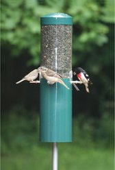 Birds Choice Squirrel Proof Classic Tube Wild Bird Feeder with Pole & Baffle, Green slide 2 of 6