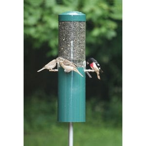 Birds Choice Squirrel Proof Classic Tube Wild Bird Feeder with Pole & Baffle, Green