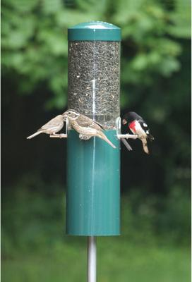 Show full view: Birds Choice Squirrel Proof Classic Tube Wild Bird Feeder with Pole & Baffle, Green slide 4 of 6