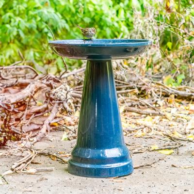 Show full view: Ohio Stoneware Bird Bath, 17 x 17 x 22-in, Summer Blue slide 3 of 6