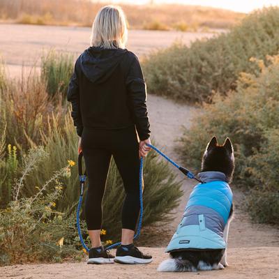 Show full view: Eddie Bauer Flora Colorblock Puffer Dog Parka, Grey/Blue, X-Small slide 7 of 8