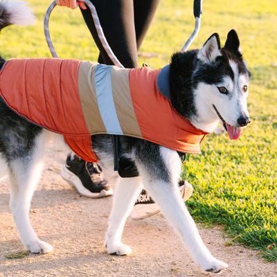 Show full view: Eddie Bauer Riverbend Dual Tone Dog Vest, Rust, Medium slide 9 of 10