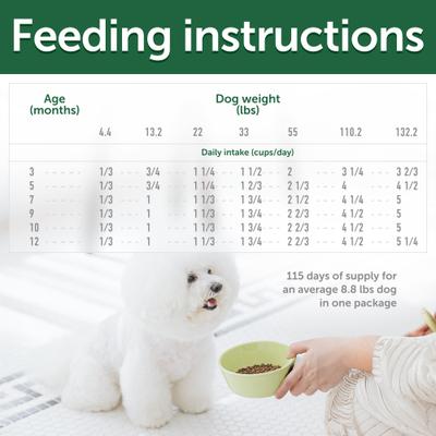 Show full view: Nature's Protection Superior Care Grain-Free Salmon Junior Small Breed Dog Dry Food, 22-lb bag slide 8 of 9