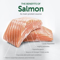 Nature's Protection Superior Care Grain-Free Salmon Junior Small Breed Dog Dry Food, 3.3-lb bag slide 2 of 9