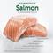 Show in main carousel: Nature's Protection Superior Care Grain-Free Salmon Junior Small Breed Dog Dry Food, 3.3-lb bag slide 4 of 9