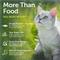 Show in main carousel: Nature's Protection Superior Care Herring Grain-Free Adult Dry Cat Food, 14.08-oz bag slide 3 of 9