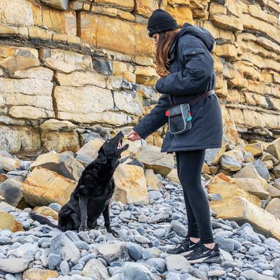 Show full view: KONG Hiking Bag slide 3 of 8