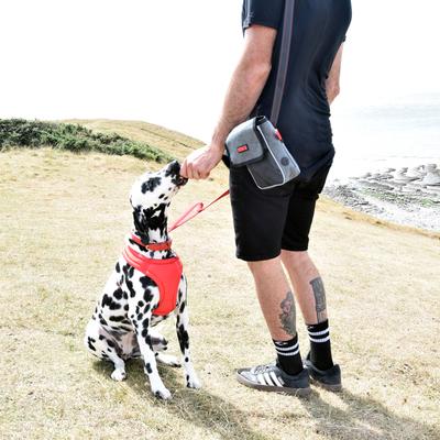 Show full view: KONG Hiking Bag slide 7 of 8