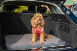 KONG Fold-Up Dog Travel Mat, Grey