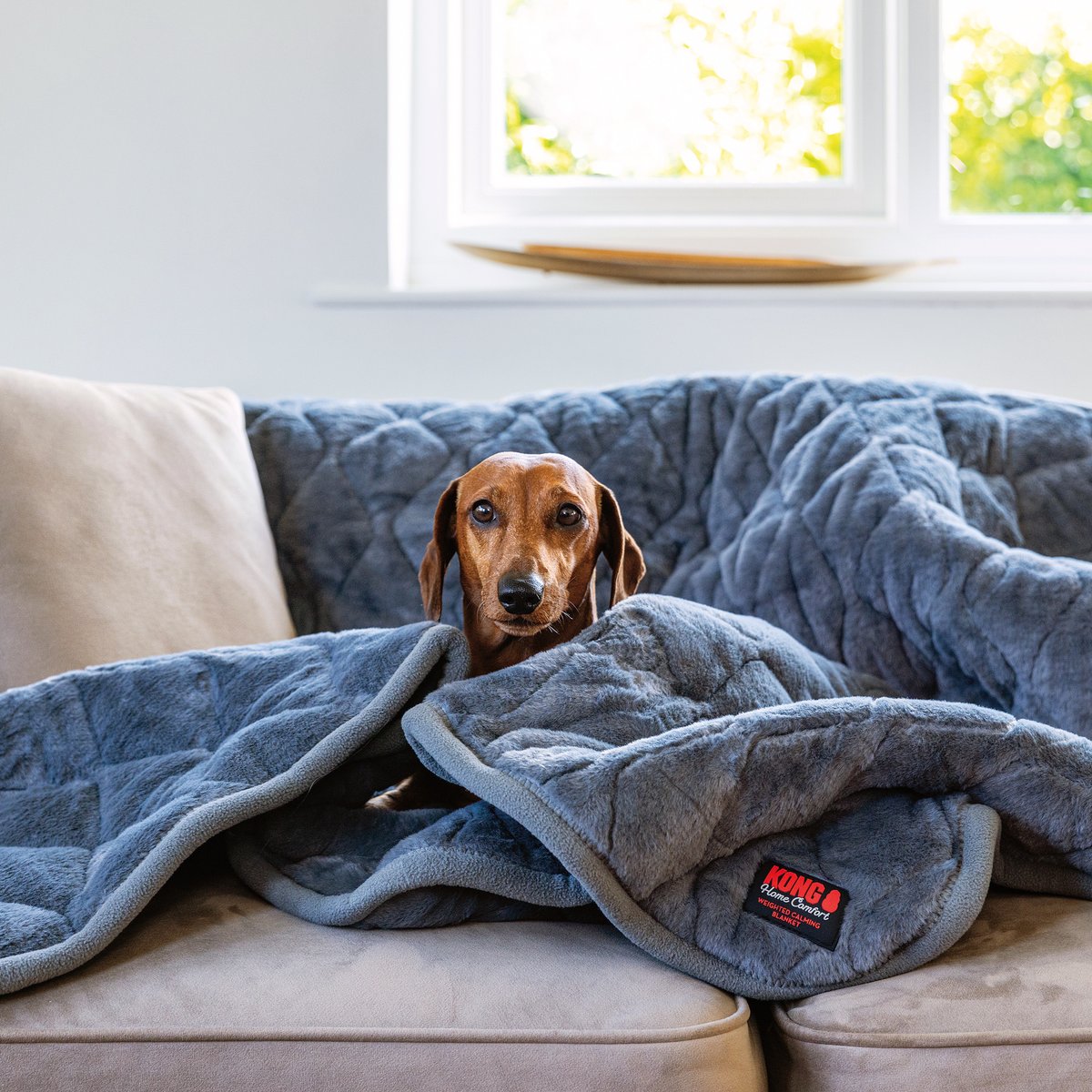 KONG Weighted Calming Dog Blanket, Grey, 58 x 53-in