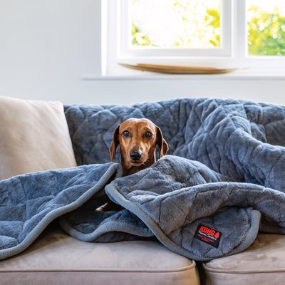 KONG KONG Weighted Calming Dog Blanket, Grey, 58 x 53-in