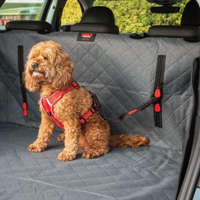 Show full view: KONG Cargo Swivel Dog Car Tether slide 7 of 9