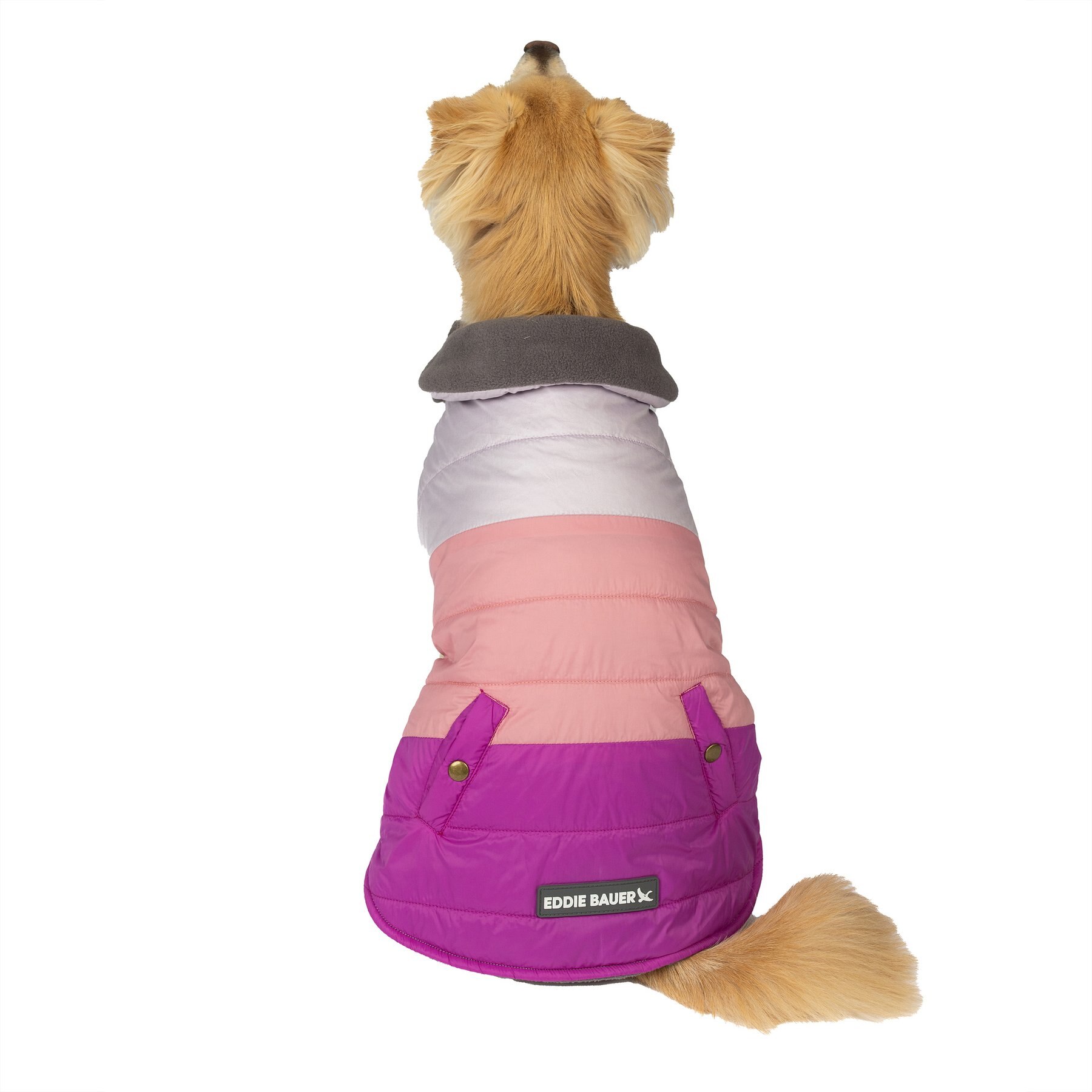 Eddie Bauer Flora Colorblock Puffer Dog Parka, Purple/Light Purple, Medium