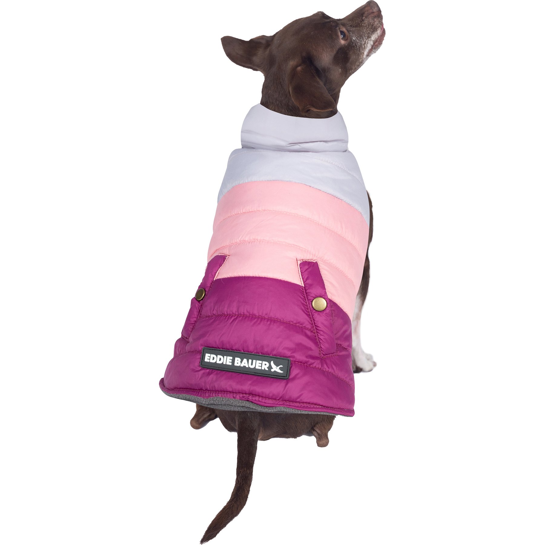 Eddie Bauer Flora Colorblock Puffer Dog Parka, Purple/Light Purple, X-Small