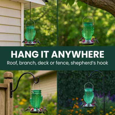 Show full view: Perky-Pet Cactus Top-Fill Glass Hummingbird Feeder slide 6 of 10