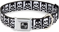 Buckle-Down Skull Cross Bones Dog Collar, Medium: 16 to 23-in neck, 1.5-in wide