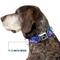 Show in main carousel: Buckle-Down Crystals Dog Collar, Small: 9.5 to 13-in neck, 1-in wide slide 7 of 8