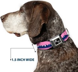 Buckle-Down Colorado Flag Icon Mountain Skyline Dog Collar, Large: 15 to 24-in neck, 1-in wide slide 2 of 8
