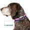 Show in main carousel: Buckle-Down Colorado Flag Icon Mountain Skyline Dog Collar, Large: 15 to 24-in neck, 1-in wide slide 8 of 9