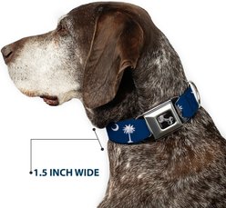 Buckle-Down South Carolina Flags Dog Collar, Small: 13 to 17-in neck, 1.5-in wide slide 2 of 8