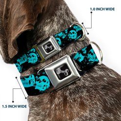 Buckle-Down Skulls Stacked Weathered Dog Collar, Medium: 11 to 16.5-in neck, 1-in wide slide 2 of 8