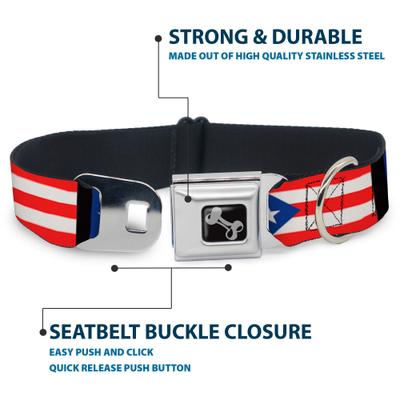 Show full view: Buckle-Down Puerto Rico Flag Dog Collar, Small: 9.5 to 13-in neck, 1-in wide slide 5 of 9