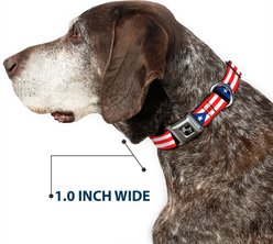 Buckle-Down Puerto Rico Flag Dog Collar, Large: 20 to 31-in neck, 1.5-in wide slide 2 of 8