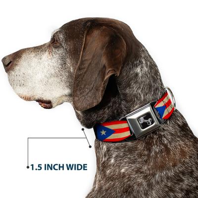 Show full view: Buckle-Down Puerto Rico Flag Weathered Dog Collar, Medium: 11 to 16.5-in neck, 1-in wide slide 8 of 9