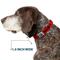 Show in main carousel: Buckle-Down Danger Text Dog Collar, Medium: 11 to 16.5-in neck, 1-in wide slide 6 of 8