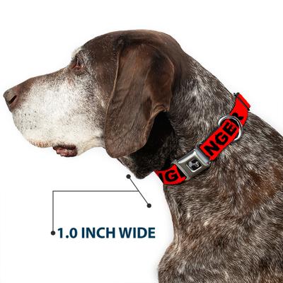 Show full view: Buckle-Down Danger Text Dog Collar, Medium: 11 to 16.5-in neck, 1-in wide slide 6 of 8