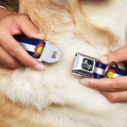 Buckle-Down Colorado Flags Dog Collar, Medium: 11 to 16.5-in neck, 1-in wide slide 2 of 8