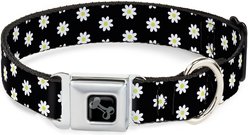 Buckle-Down Daisies Scattered Dog Collar, Large: 15 to 24-in neck, 1-in wide