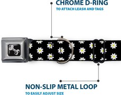 Buckle-Down Daisies Scattered Dog Collar, Large: 15 to 24-in neck, 1-in wide slide 2 of 8